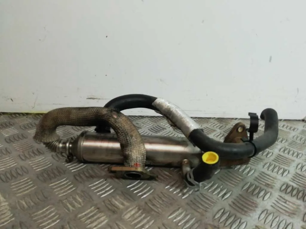 Enfriador Egr para Ford Focus Berlina (Cak)