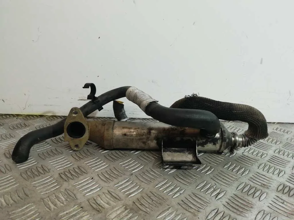 Enfriador Egr para Ford Focus Berlina (Cak)