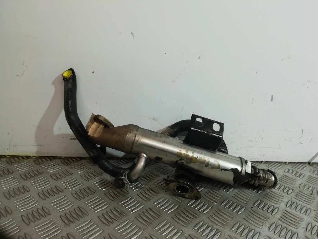 Enfriador Egr para Ford Focus Berlina (Cak)