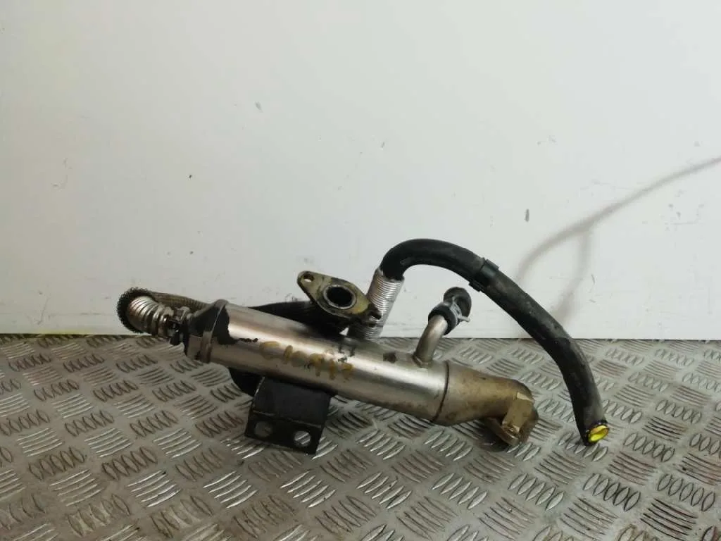 Enfriador Egr para Ford Focus Berlina (Cak)