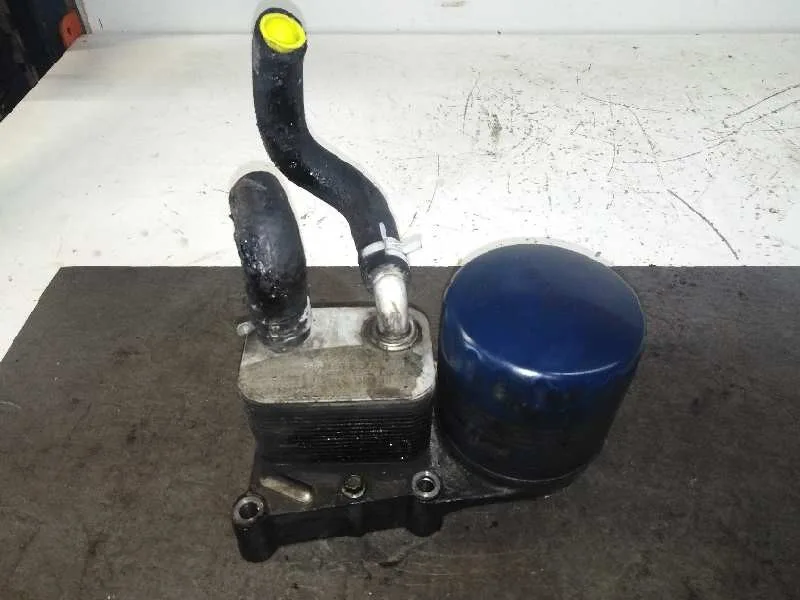 Enfriador Aceite Motor para Ford Focus Berlina (Cak)