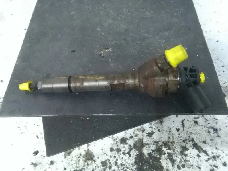 Inyector para Bmw Serie 3 Berlina (E90)