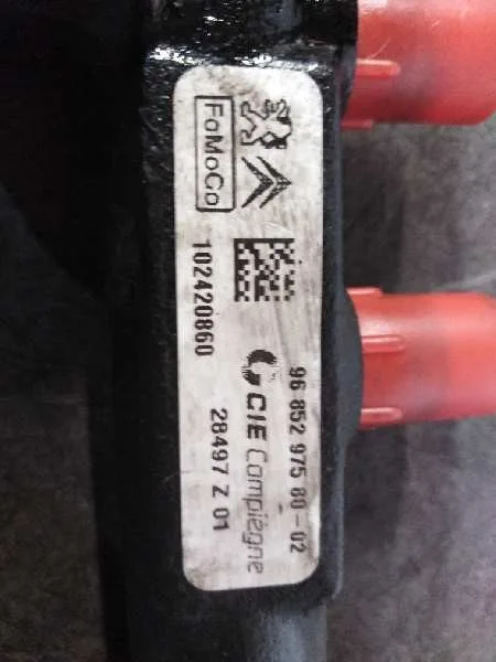 Rampa Inyectora para Ford C-Max