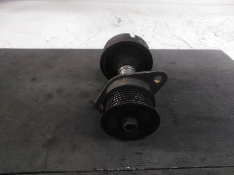 Polea Alternador para Ford Focus Berlina (Cak)