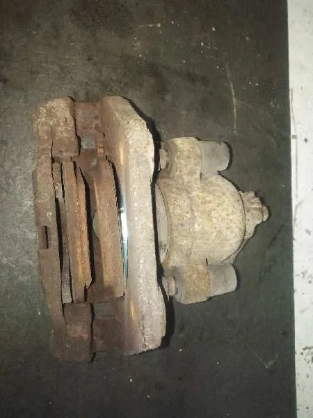 Pinza Freno Trasera Izquierda para Bmw X5 (E53)
