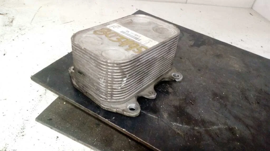 Enfriador Aceite Motor para Audi A3 (8P)