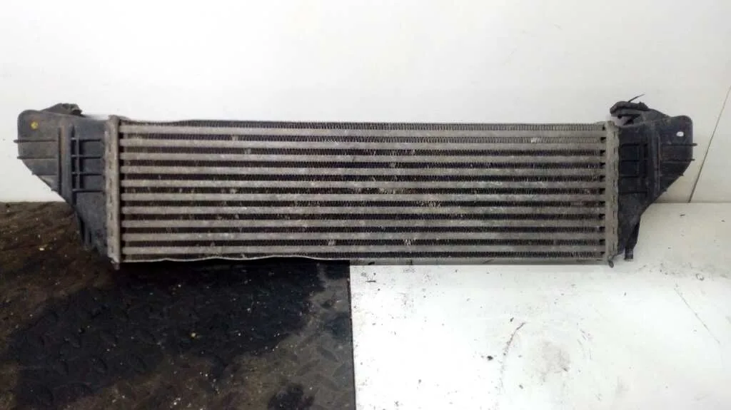 Intercooler para Bmw X5 (E53)