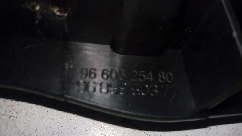Cerradura Puerta Trasera Izquierda para Citroën C4 Lim.