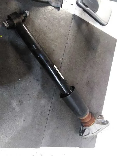 Amortiguador Trasero Izquierdo para Bmw Serie 1 Lim. 5-Trg. (F20)