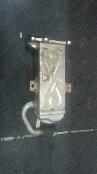 Enfriador Egr para Audi A3 (8P)