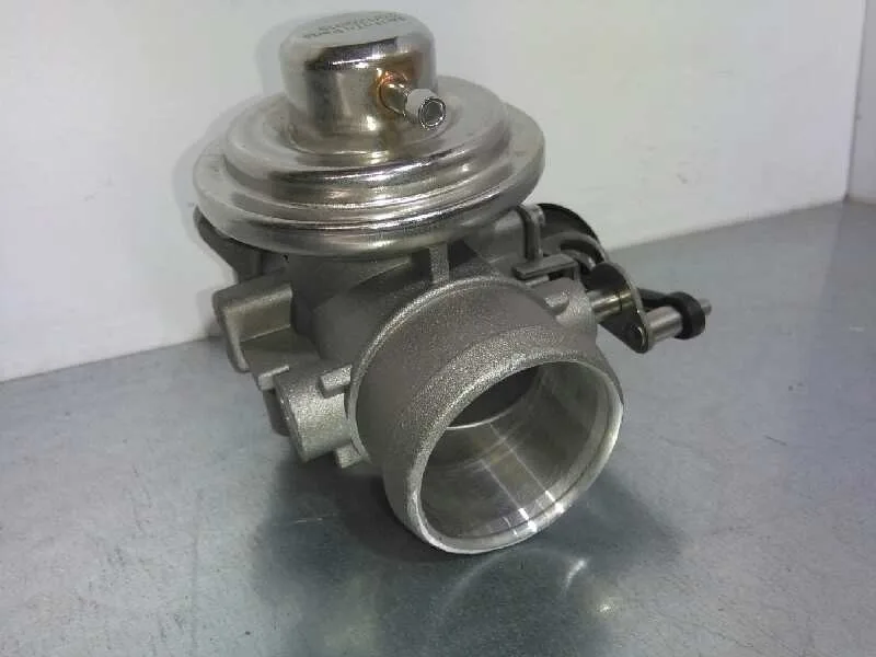 Valvula Egr para Volkswagen Passat Berlina (3B2)