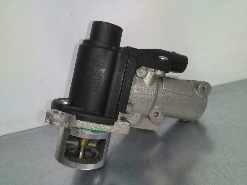 Valvula Egr para Seat Ibiza (6J5)