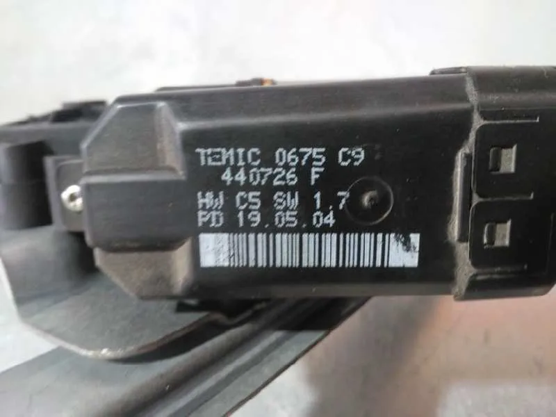 Elevalunas Trasero Izquierdo para Renault Scenic Ii