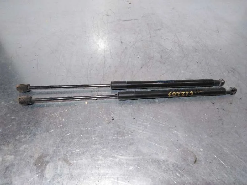 Amortiguadores Maletero / Porton para Skoda Fabia (5J2 )
