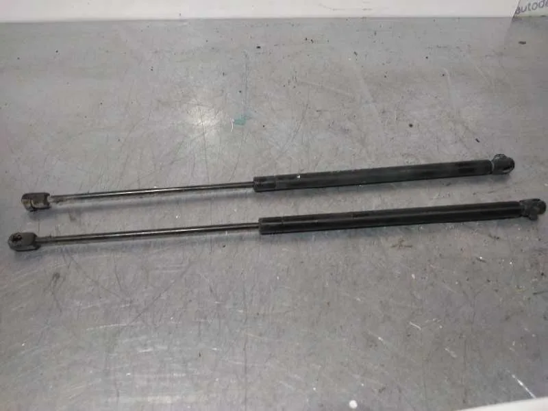 Amortiguadores Capo para Bmw Mini (R50,R53)