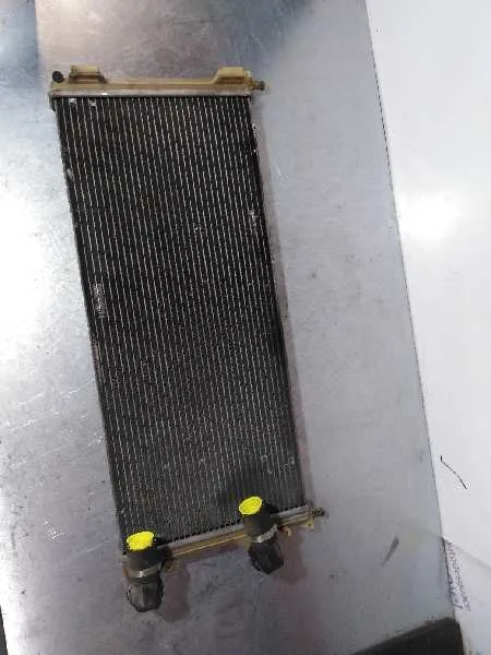 Radiador Agua para Fiat Doblo Cargo (223)