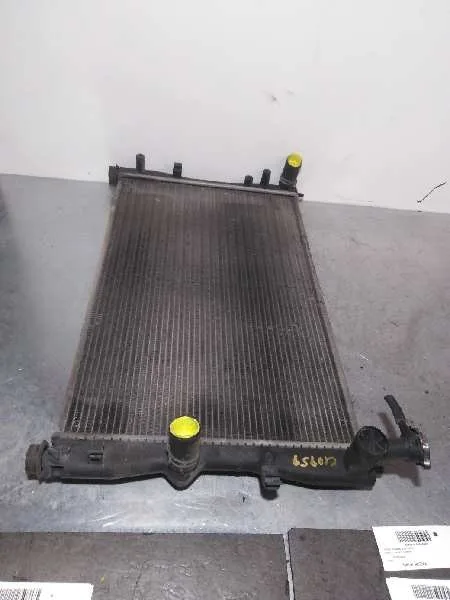 Radiador Agua para Smart Forfour
