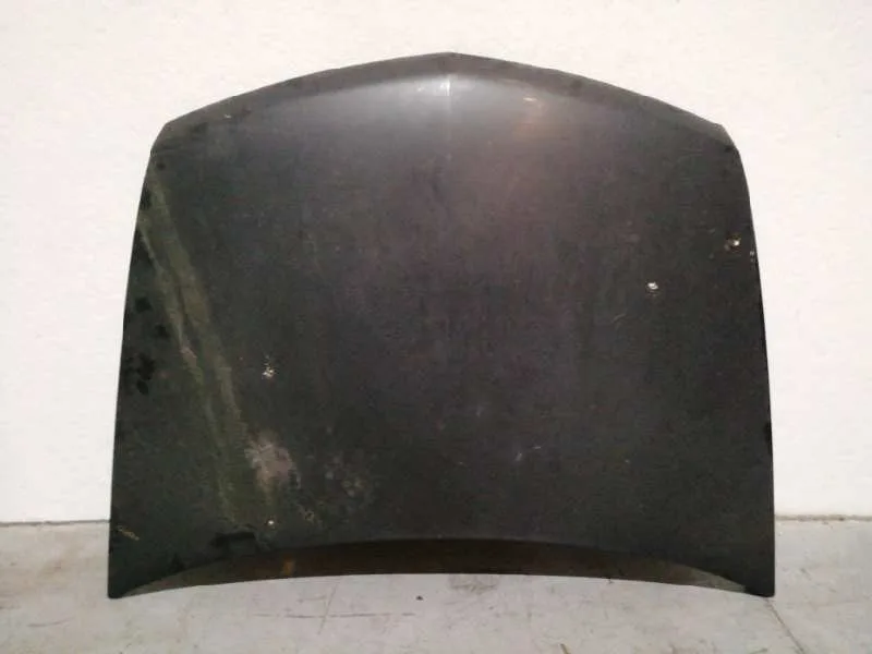 Capot para Renault Vel Satis (Bj0)