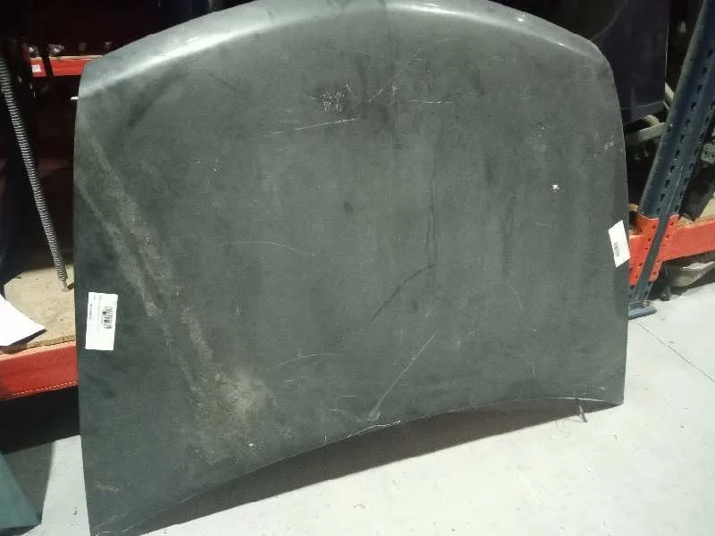 Capot para Renault Vel Satis (Bj0)