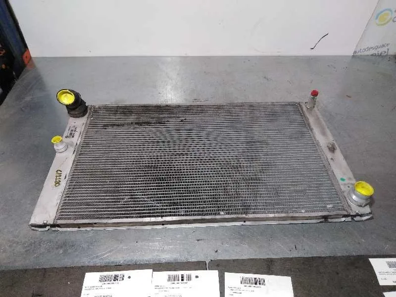 Radiador Agua para Bmw Serie 5 Touring (E61)