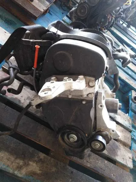 Motor Completo para Volkswagen Polo (9N3)