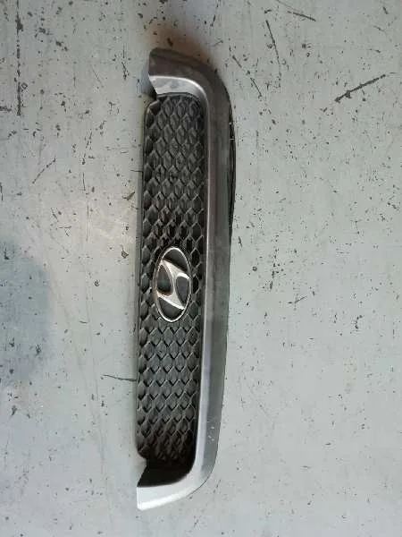 Rejilla Delantera para Hyundai Santa Fe (Sm)