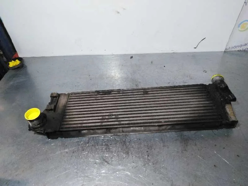 Intercooler para Renault Megane Ii Berlina 5P