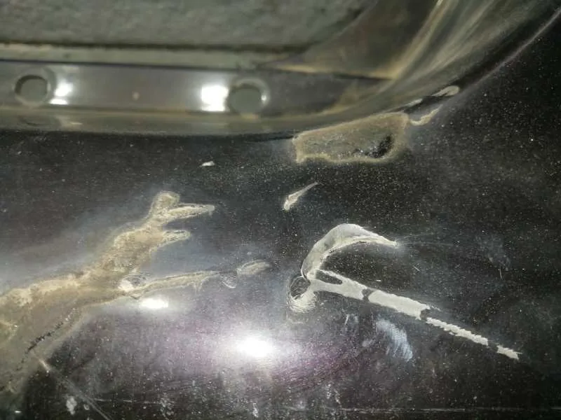 Paragolpes Trasero para Ssangyong Rexton