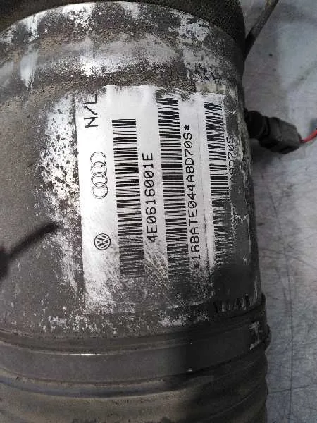 Amortiguador Trasero Izquierdo para Audi A8 (4E2)
