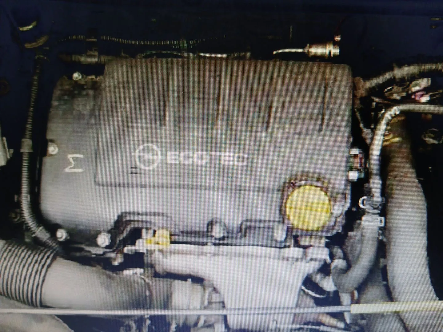 Despiece Motor para Opel Meriva B