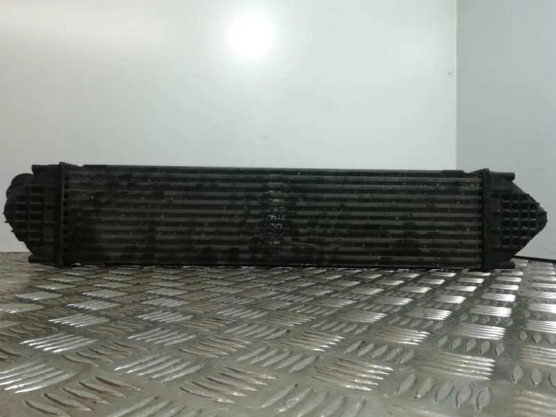 Intercooler para Ford S-Max (Ca1)