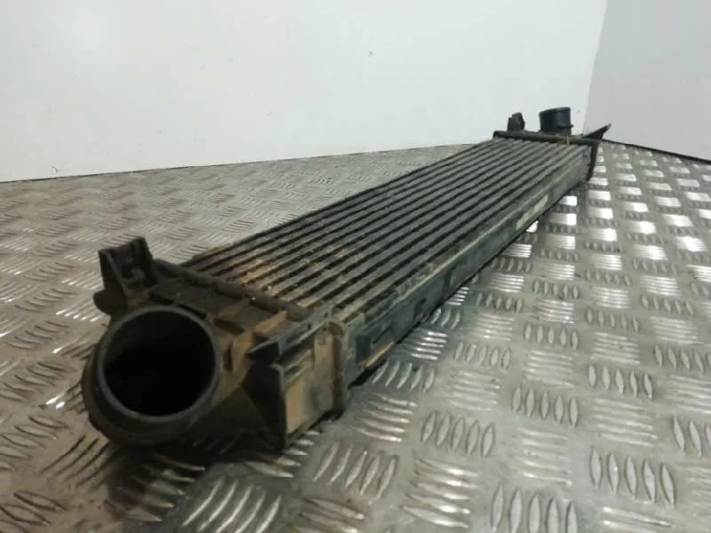 Intercooler para Ford S-Max (Ca1)