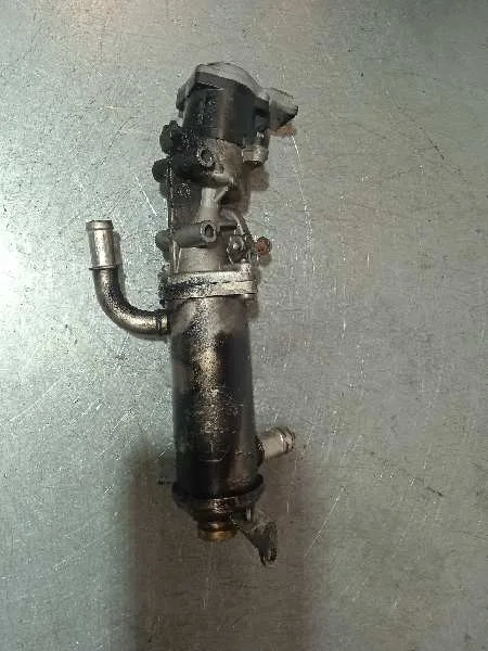 Valvula Egr para Land Rover Range Rover Sport