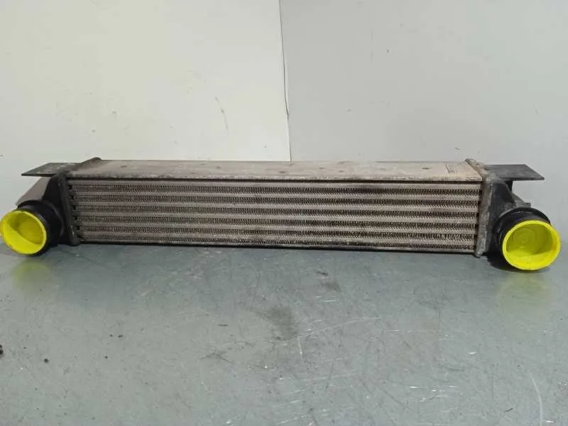 Intercooler para Bmw Serie 5 Berlina (E39)