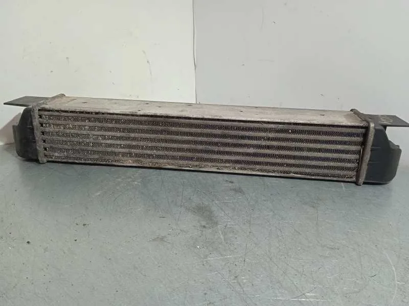 Intercooler para Bmw Serie 5 Berlina (E39)