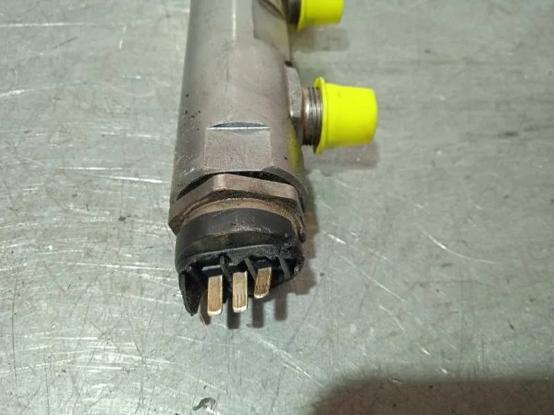 Rampa Inyectora para Bmw Serie 3 Berlina (E90)