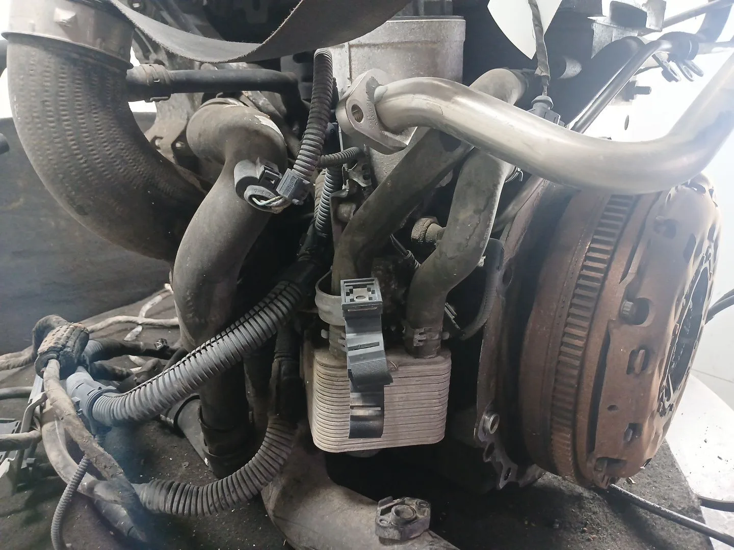 Despiece Motor para Seat Leon (1P1)