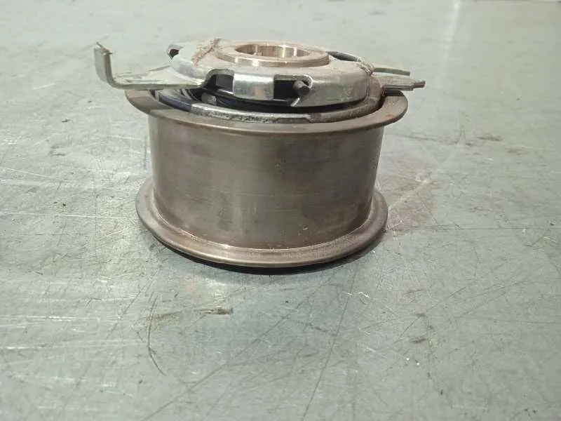 Tensor Correa Auxiliar para Volkswagen Golf Vi (5K1)