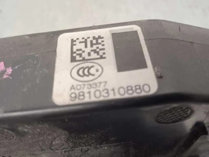 Cerradura Puerta Trasera Izquierda para Citroën C4 Picasso