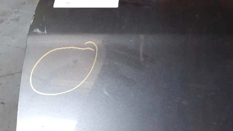 Puerta Delantera Izquierda para Fiat Bravo (198)