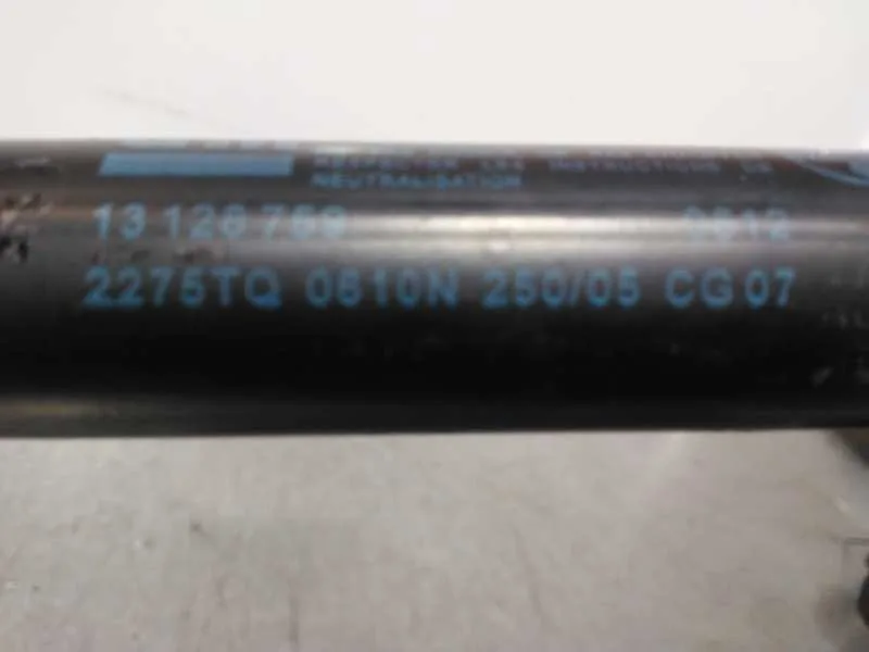 Amortiguadores Maletero / Porton para Opel Zafira B