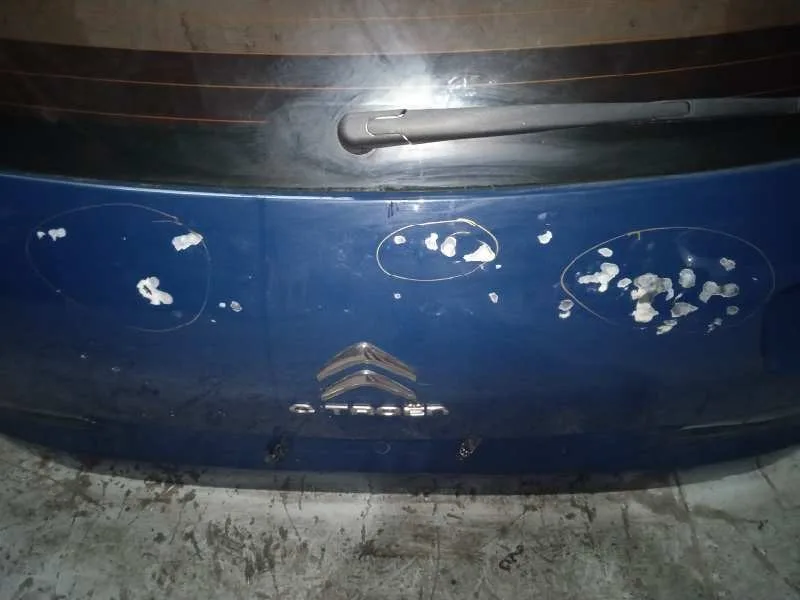 Porton Trasero para Citroën C4 Picasso