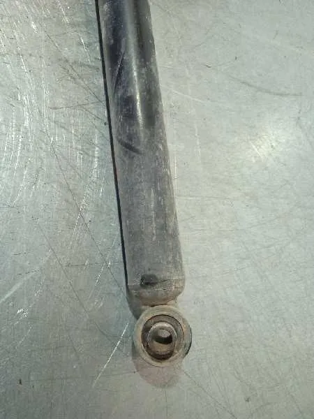 Amortiguador Trasero Derecho para Bmw Serie 3 Compact (E46)
