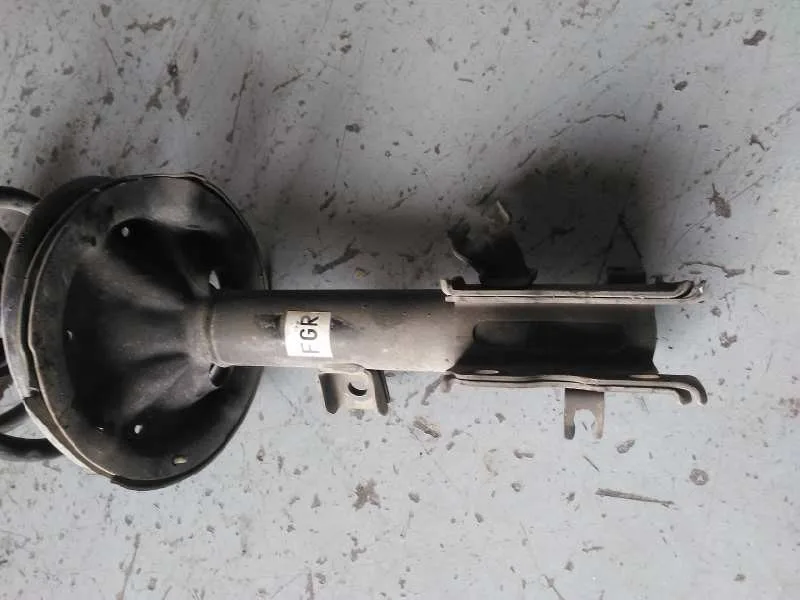 Amortiguador Delantero Derecho para Nissan Murano (Z50)