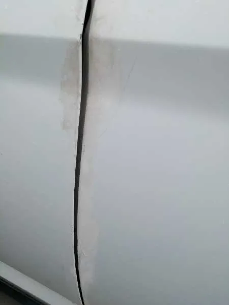Puerta Trasera Izquierda para Ford C-Max