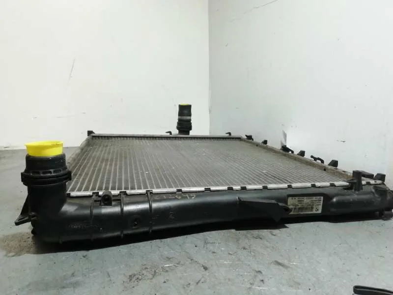 Radiador Agua para Bmw X3 (E83)
