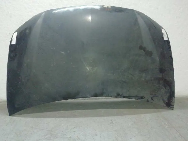 Capot para Ssangyong Rodius