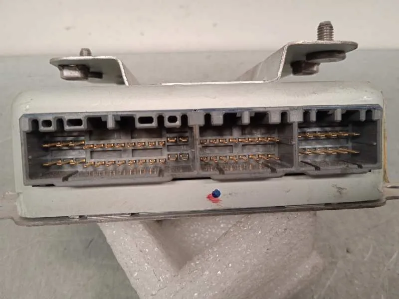 Centralita Check Control para Ssangyong Rodius