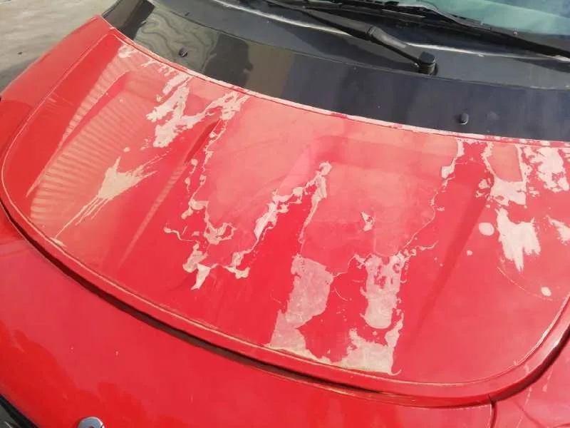 Capot para Smart Forfour