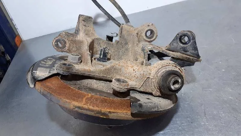 Mangueta Trasera Izquierda para Toyota Rav 4 (A3)
